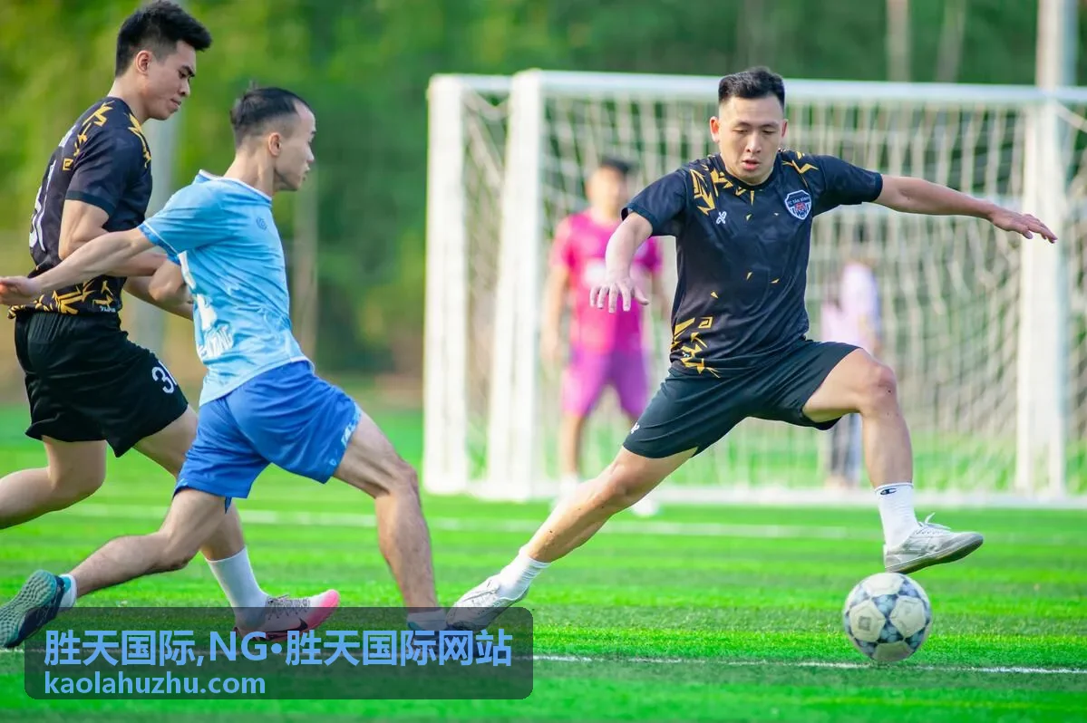 NG·胜天国际网站信息浏览场景