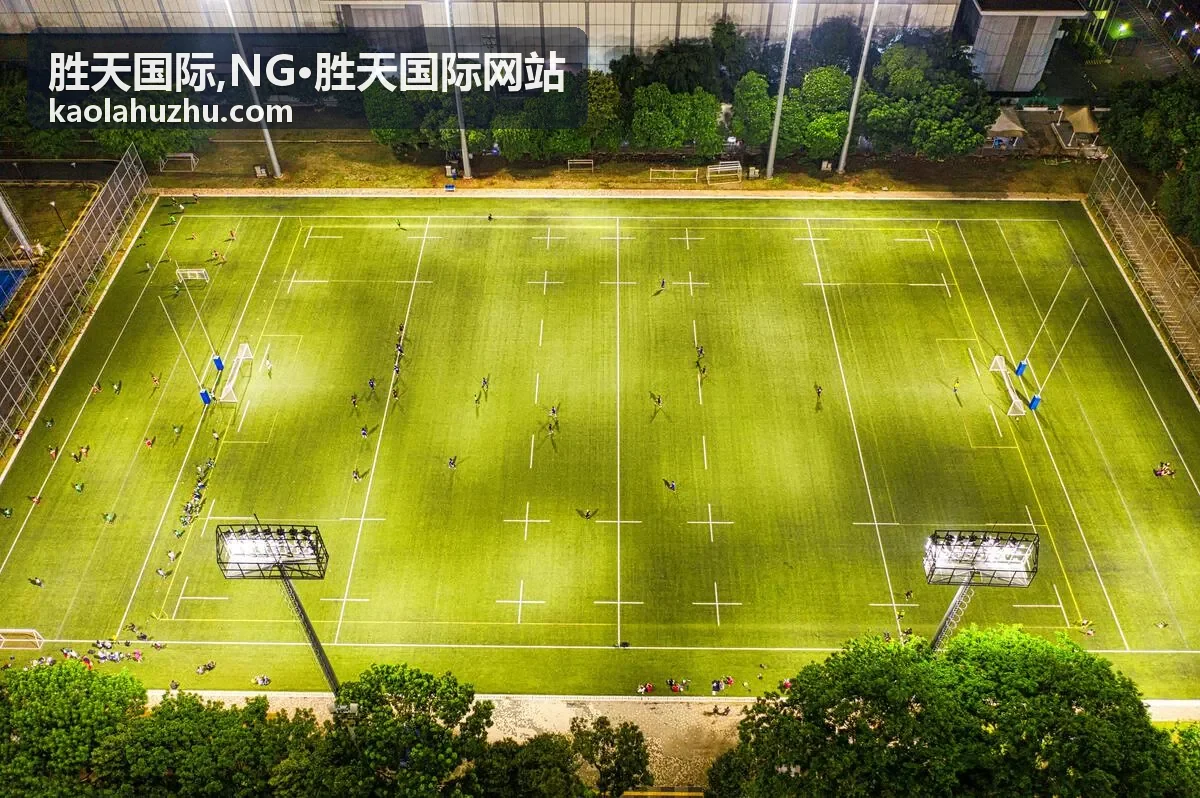 胜天国际平台服务指南入口